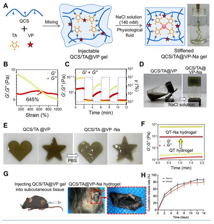 Theranostics Image