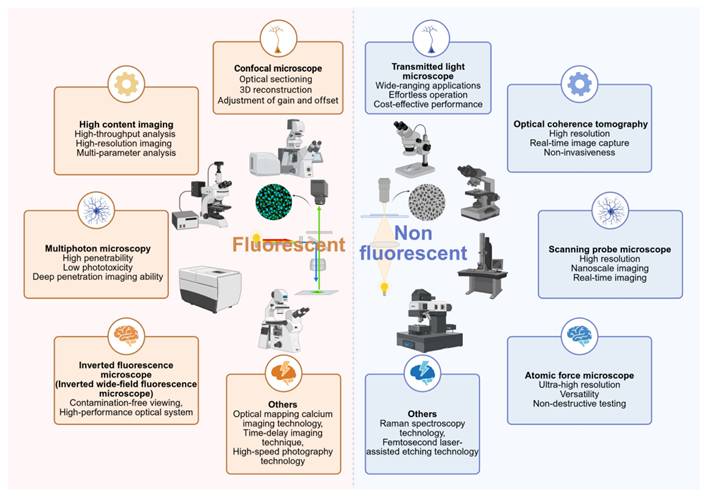 Theranostics Image