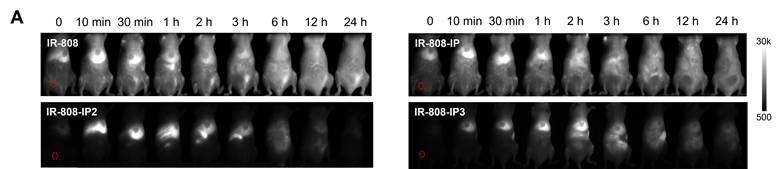 Theranostics Image