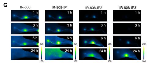 Theranostics Image