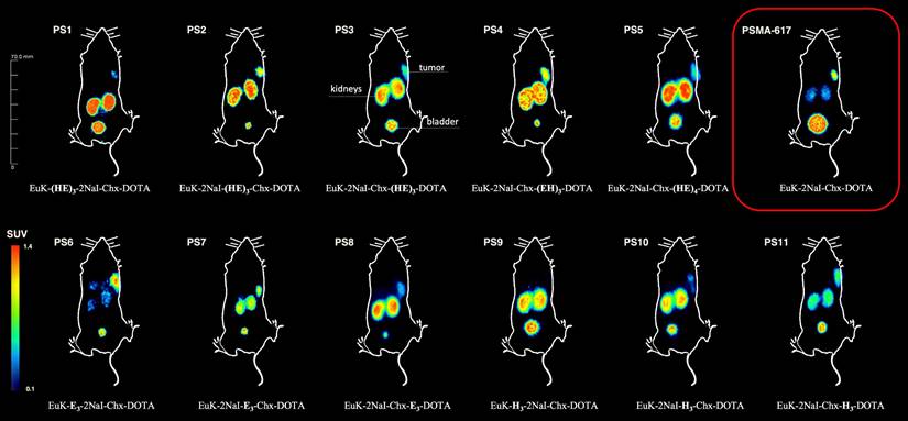 Theranostics Image
