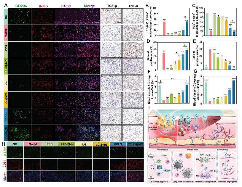 Theranostics Image