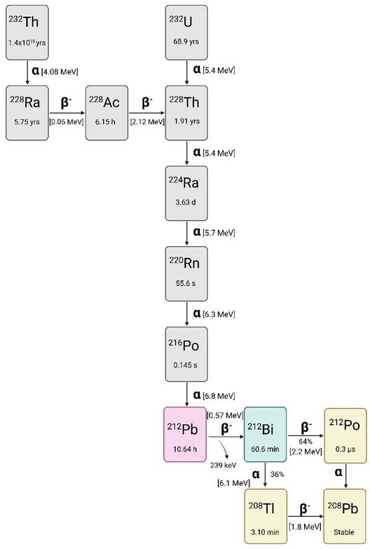 Theranostics Image