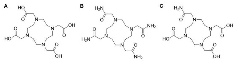 Theranostics Image
