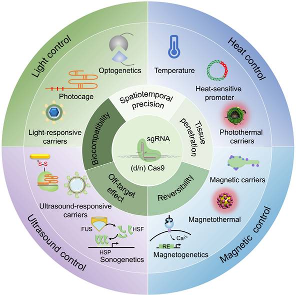 Theranostics Image