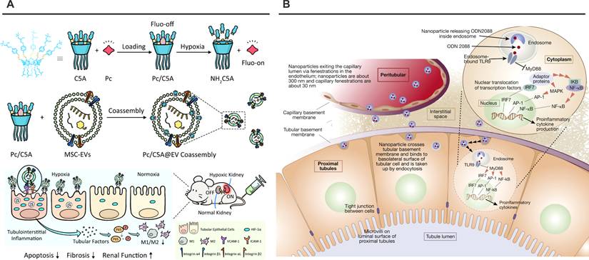 Theranostics Image