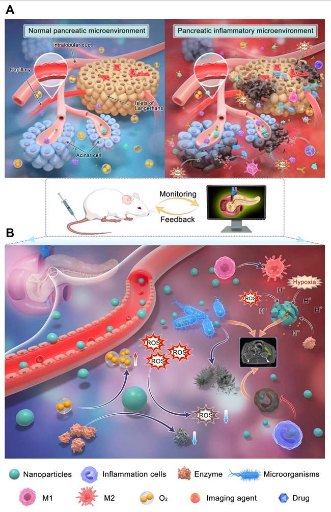 Theranostics Image