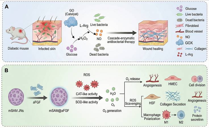 Theranostics Image