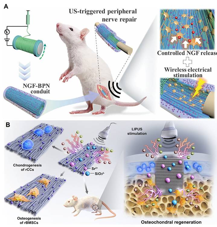 Theranostics Image