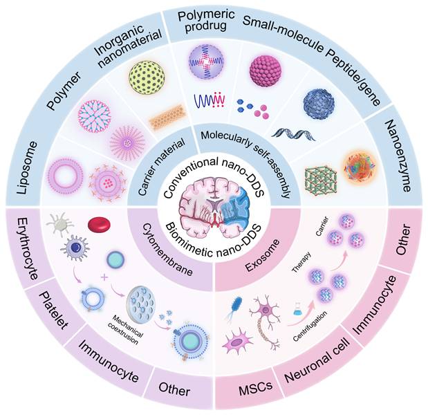 Theranostics Image
