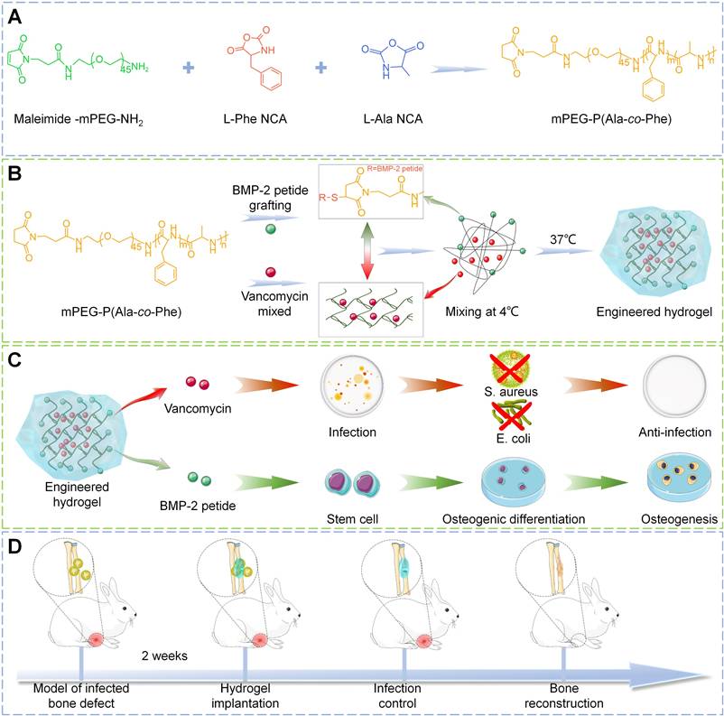 Theranostics Image