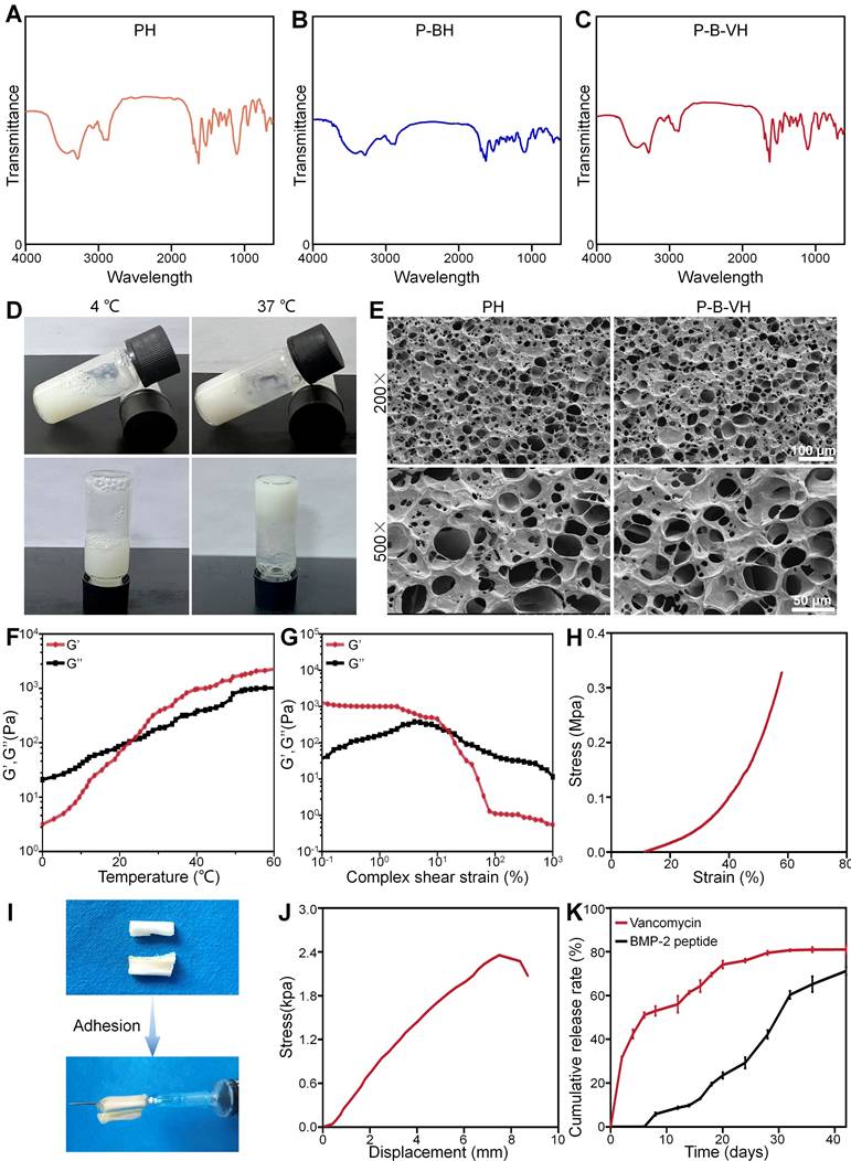 Theranostics Image