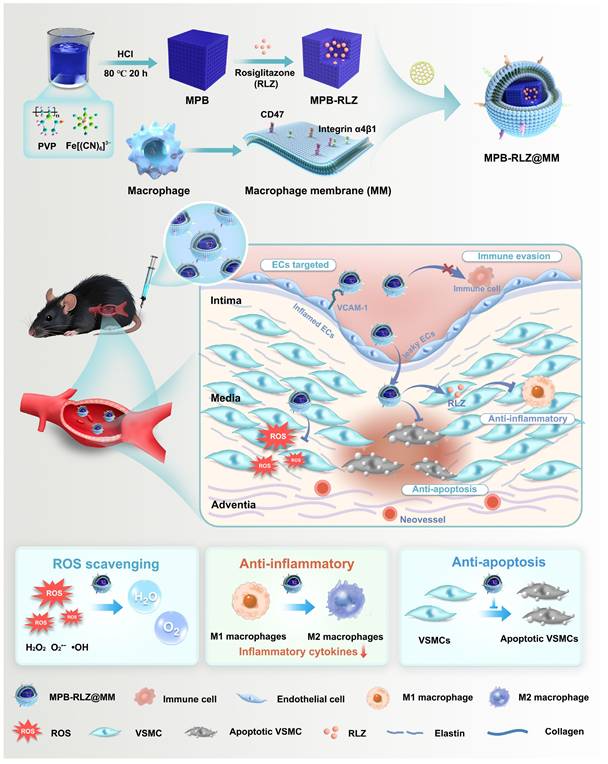 Theranostics Image