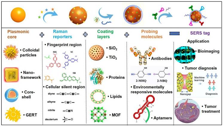 Theranostics Image