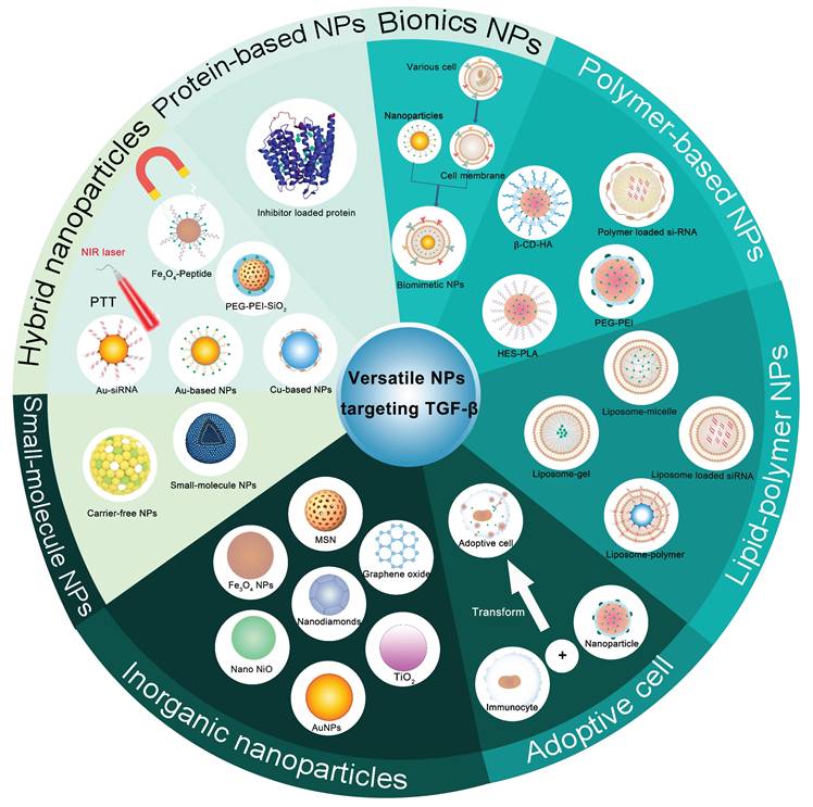 Theranostics Image