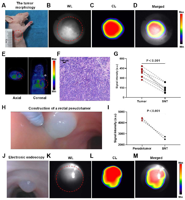 Theranostics Image
