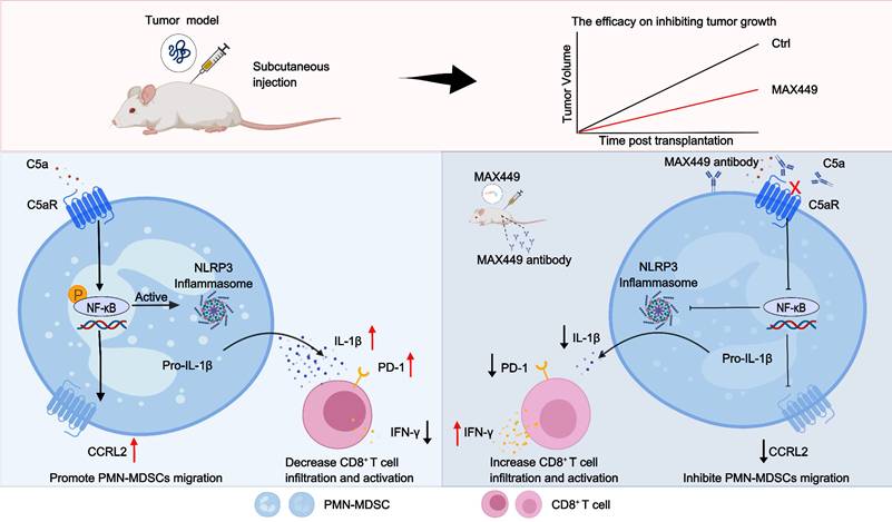 Theranostics Image