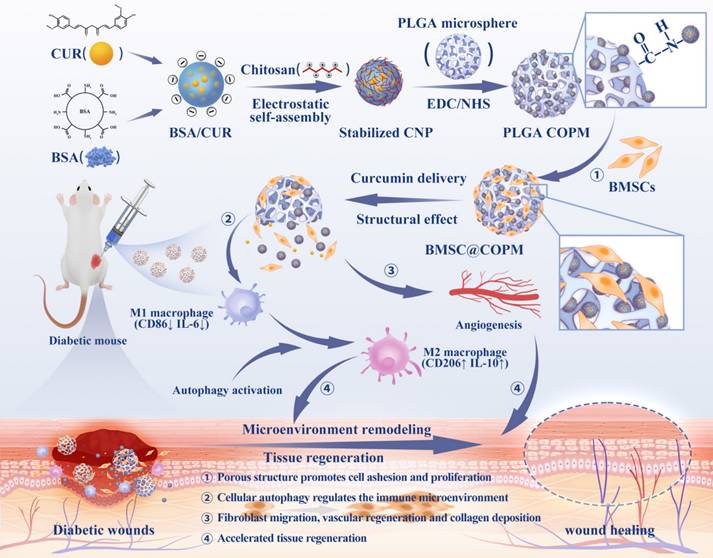 Theranostics Image
