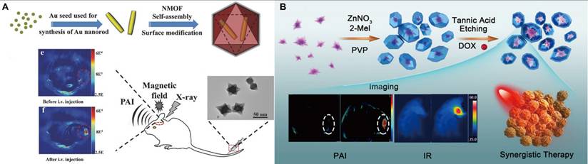 Theranostics Image