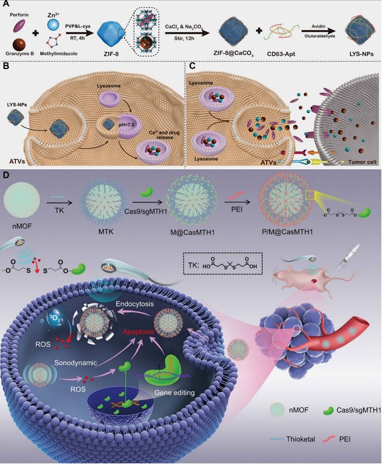 Theranostics Image