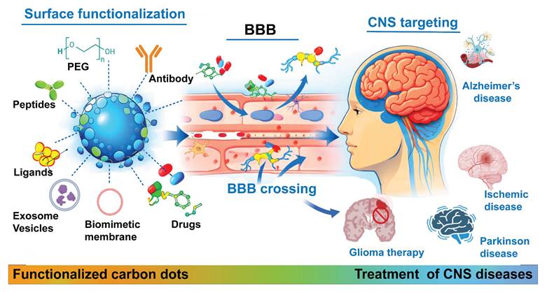 Theranostics Image