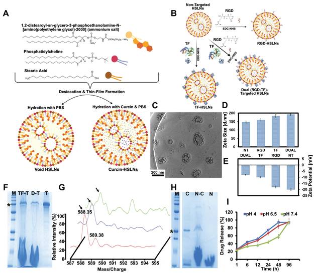 Theranostics Image