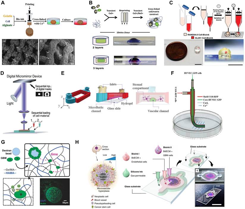 Theranostics Image
