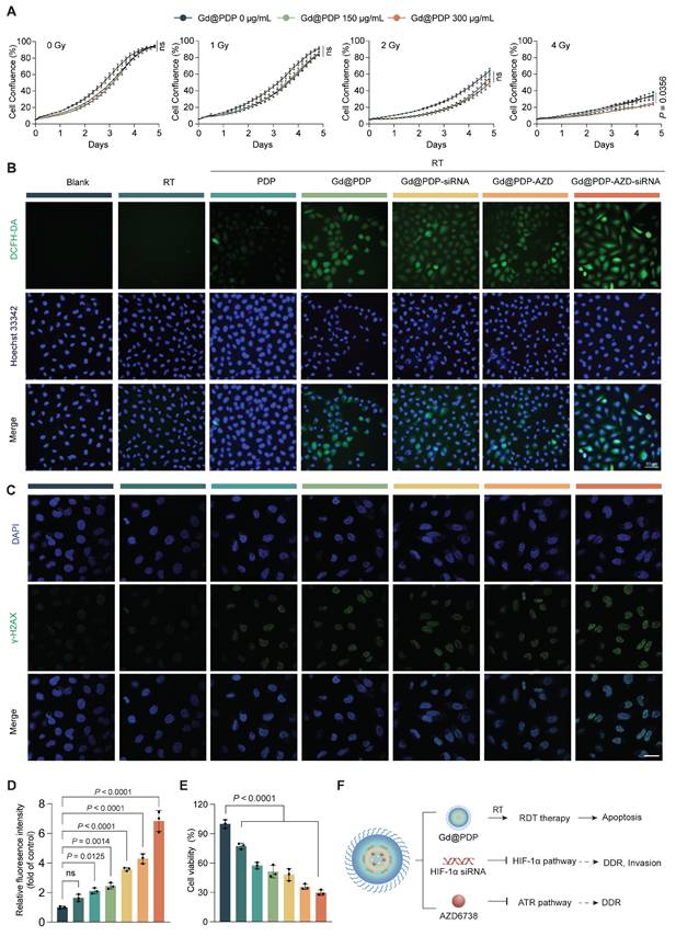 Theranostics Image