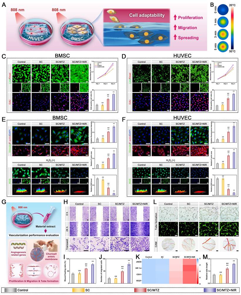 Theranostics Image