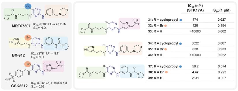 Theranostics Image