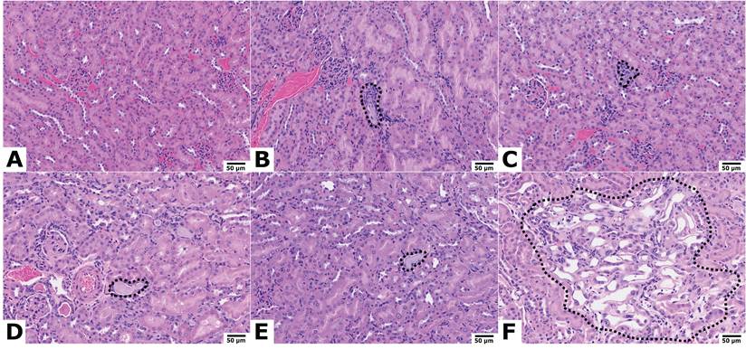 Theranostics Image