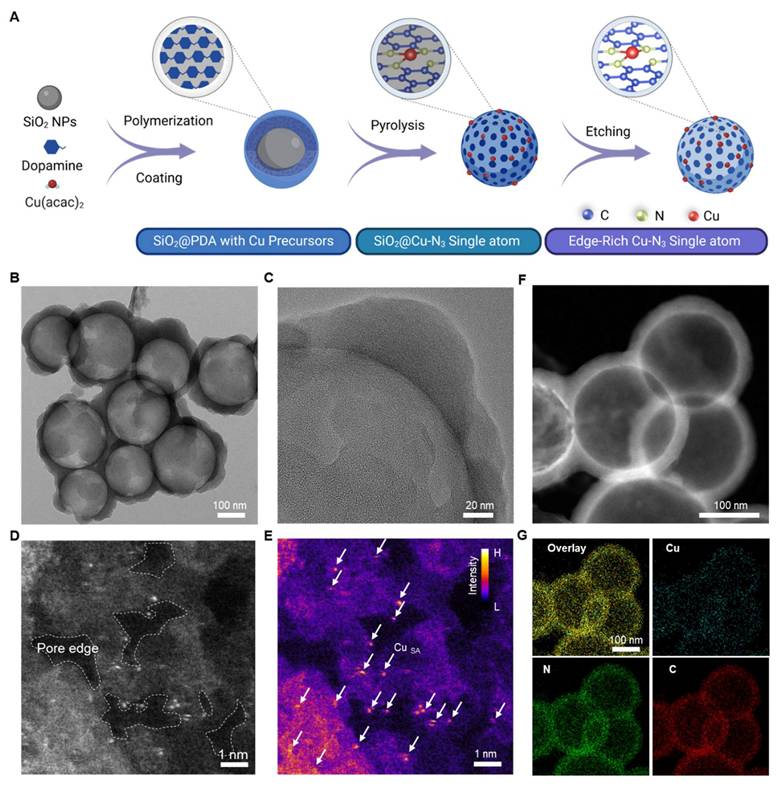 Theranostics Image