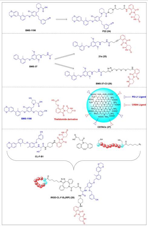 Theranostics Image