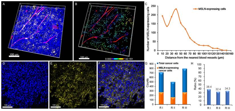 Theranostics Image