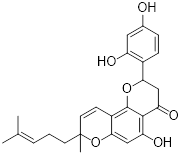 Theranostics inline graphic