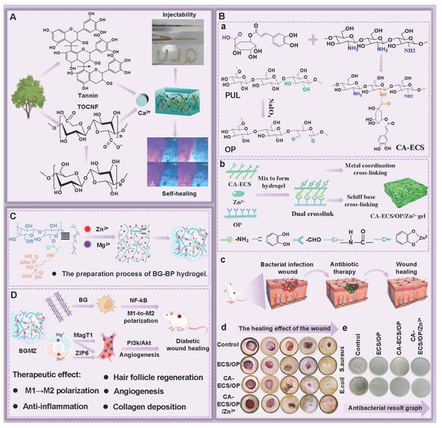 Theranostics Image