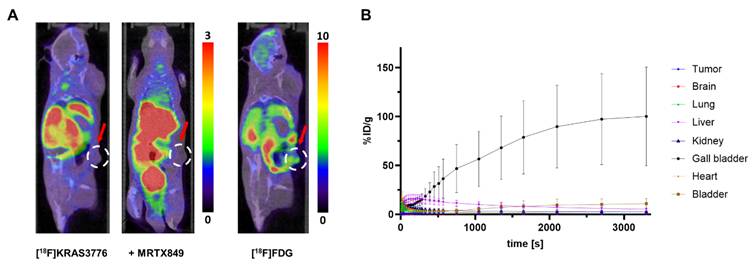 Theranostics Image