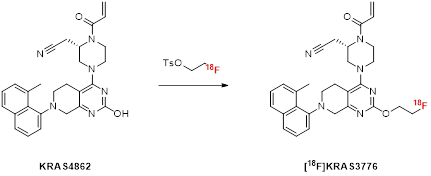 Theranostics inline graphic