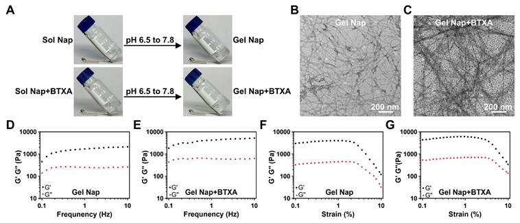 Theranostics Image
