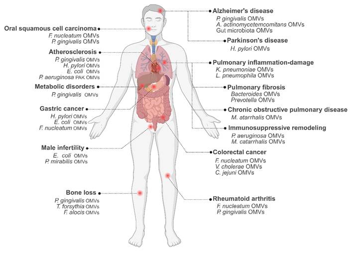 Theranostics Image