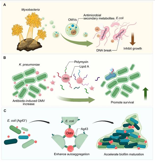 Theranostics Image