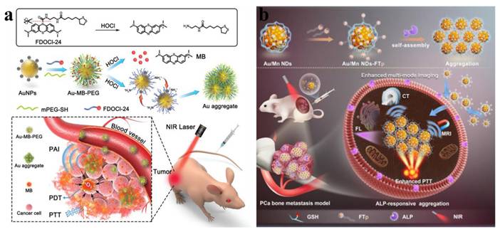 Theranostics Image