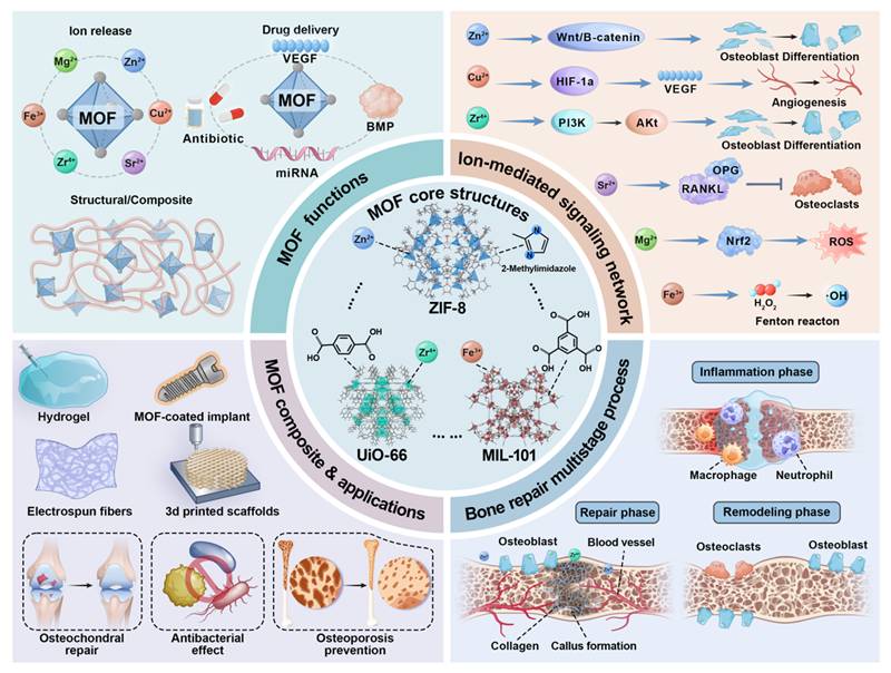 Theranostics Image