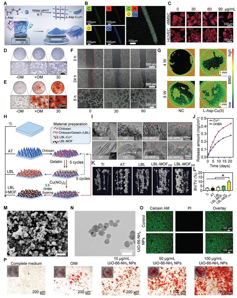 Theranostics Image