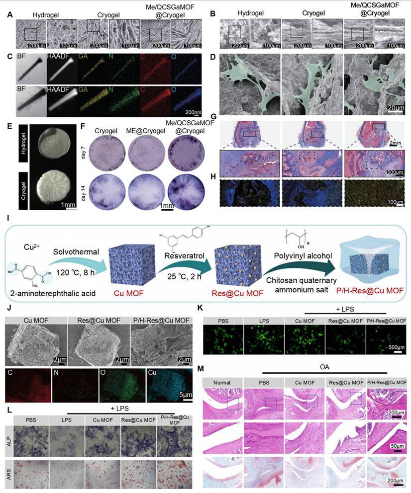 Theranostics Image