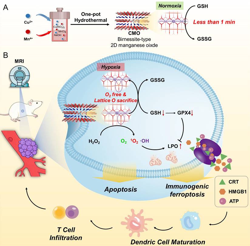 Theranostics Image
