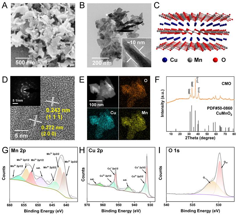 Theranostics Image