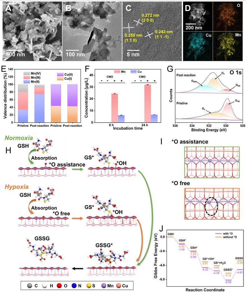 Theranostics Image