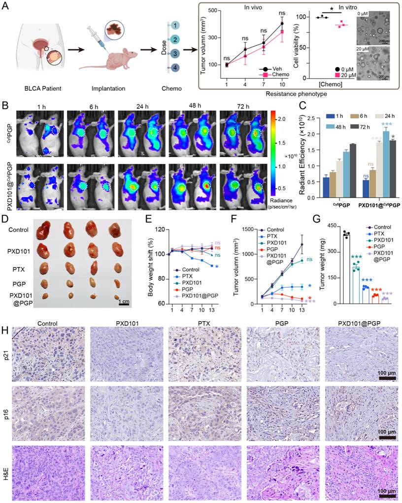 Theranostics Image