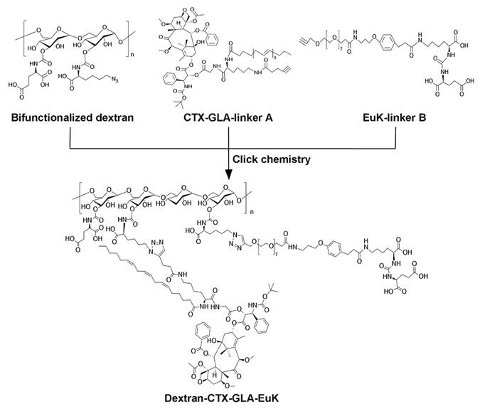 Theranostics Image